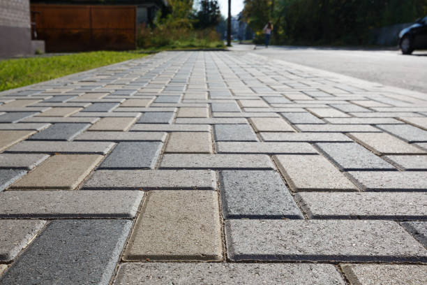 Best Custom Driveway Pavers  in Dranesville, VA