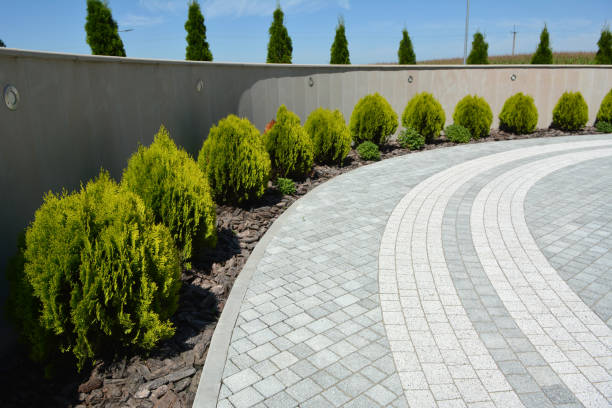 Best Brick Driveway Pavers  in Dranesville, VA